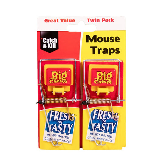 Fresh Baited Mouse Trap