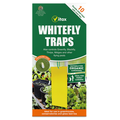 Whitefly Traps