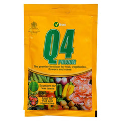 Q4 Powder