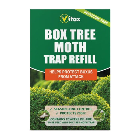 Buxus Moth Trap Refill