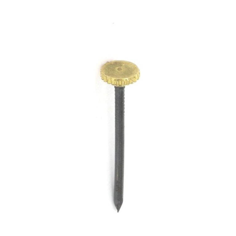 Brass Headed Picture Pins (6)