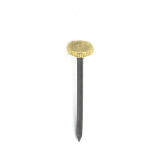 Brass Headed Picture Pins (6)