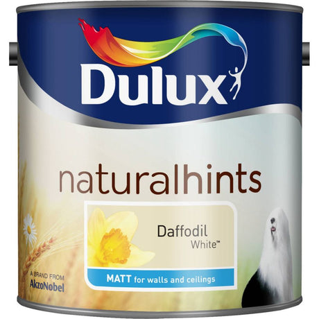 Dulux - Matt Paint