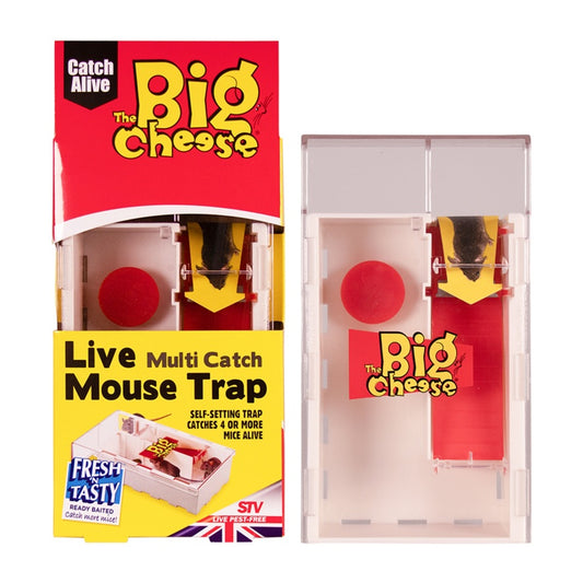 Multi-Catch Mouse Trap