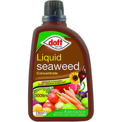 Doff Liquid Seaweed Plant Feed 1L