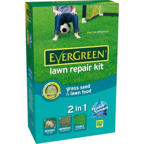 Buy EverGreen Lawn Repair Kit Grass Seed and Lawn Food Carton, 1 kg From JDS DIY