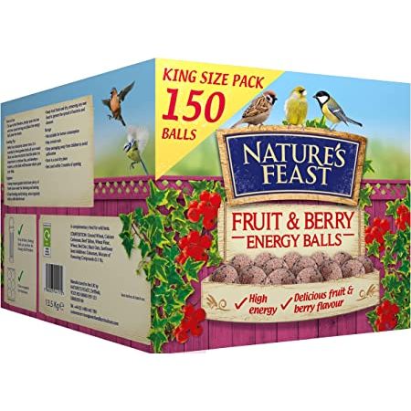 Pack of 150 Fruit and Berry Energy, Suet, Fat Balls For Wild Birds by Nature's Feast