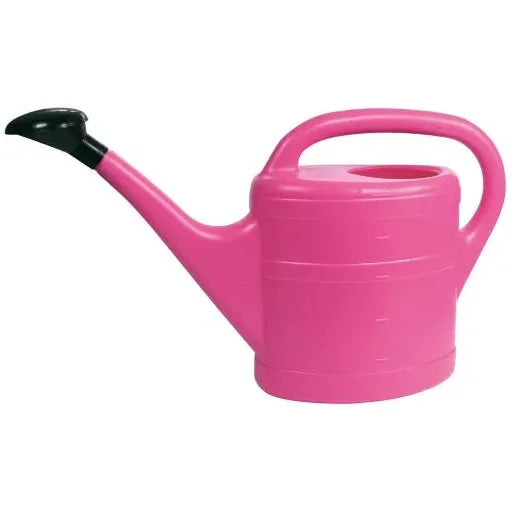 Buy Green Wash Essential Watering Can, pink, 5 L From JDS DIY