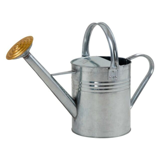 Ambassador Galvanised Watering Can 2 Gallon